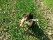 IMG-20140421-WA0000.jpg