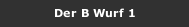 Der B Wurf 1