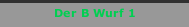 Der B Wurf 1