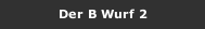 Der B Wurf 2