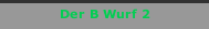 Der B Wurf 2